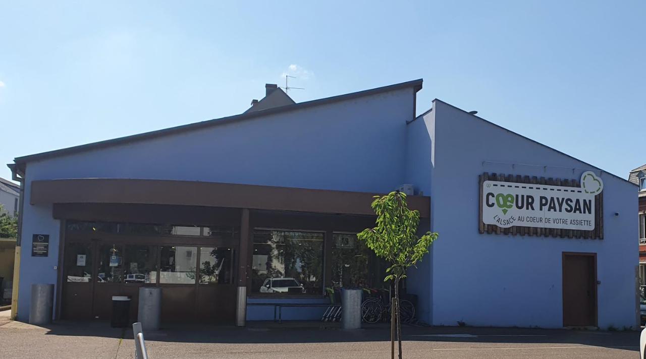 Le Bienvenue A Colmar - Parking Prive Inclus, Centre A Deux Pas Διαμέρισμα Εξωτερικό φωτογραφία