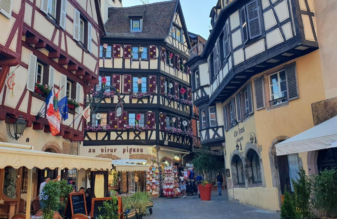 Le Bienvenue A Colmar - Parking Prive Inclus, Centre A Deux Pas Διαμέρισμα Εξωτερικό φωτογραφία