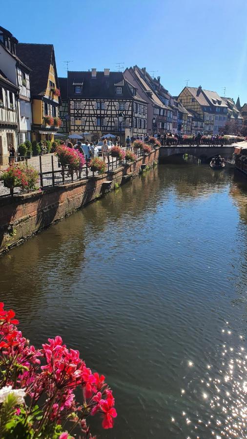 Le Bienvenue A Colmar - Parking Prive Inclus, Centre A Deux Pas Διαμέρισμα Εξωτερικό φωτογραφία